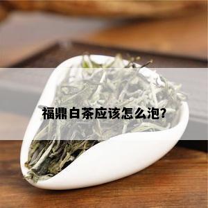 福鼎白茶应该怎么泡？