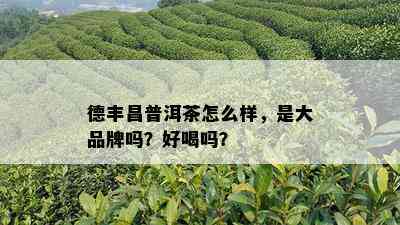 德丰昌普洱茶怎么样，是大品牌吗？好喝吗？