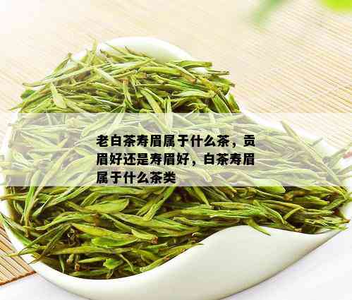 老白茶寿眉属于什么茶，贡眉好还是寿眉好，白茶寿眉属于什么茶类