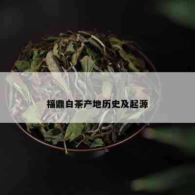 福鼎白茶产地历史及起源