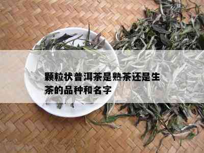 颗粒状普洱茶是熟茶还是生茶的品种和名字