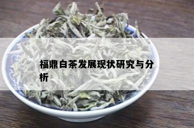 福鼎白茶发展现状研究与分析