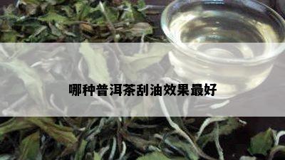 哪种普洱茶刮油效果更好