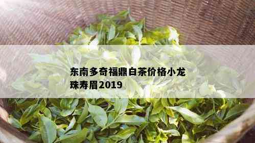 东南多奇福鼎白茶价格小龙珠寿眉2019