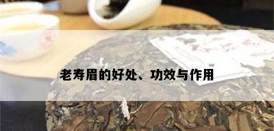 老寿眉的好处、功效与作用