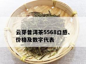 云芽普洱茶5568口感、价格及数字代表