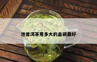 泡普洱茶用多大的盖碗更好