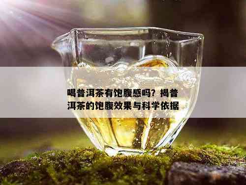 喝普洱茶有饱腹感吗？揭普洱茶的饱腹效果与科学依据