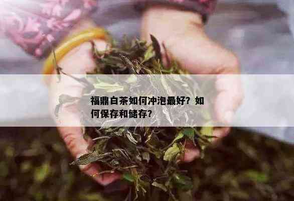 福鼎白茶如何冲泡更好？如何保存和储存？