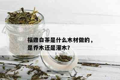 福鼎白茶是什么木材做的，是乔木还是灌木？