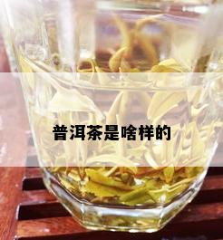 普洱茶是啥样的