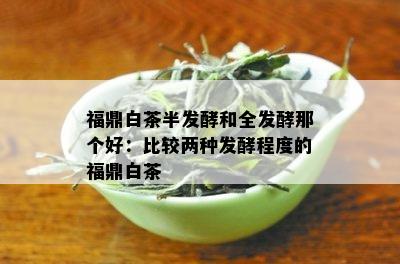 福鼎白茶半发酵和全发酵那个好：比较两种发酵程度的福鼎白茶