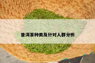 普洱茶种类及针对人群分析