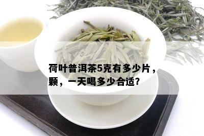 荷叶普洱茶5克有多少片，颗，一天喝多少合适？