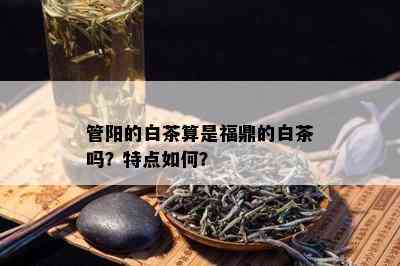 管阳的白茶算是福鼎的白茶吗？特点如何？