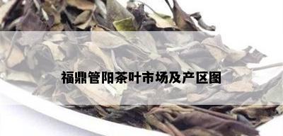 福鼎管阳茶叶市场及产区图