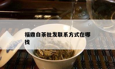 福鼎白茶批发联系方式在哪找