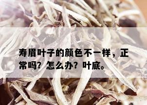 寿眉叶子的颜色不一样，正常吗？怎么办？叶底。