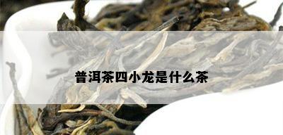 普洱茶四小龙是什么茶