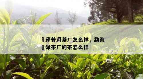 璟泽普洱茶厂怎么样，勐海璟泽茶厂的茶怎么样