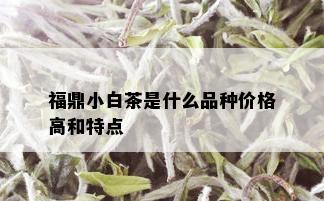 福鼎小白茶是什么品种价格高和特点