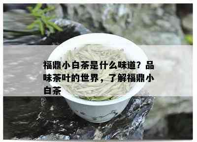 福鼎小白茶是什么味道？品味茶叶的世界，了解福鼎小白茶