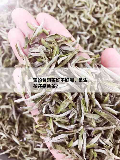 苦的普洱茶好不好喝，是生茶还是熟茶？