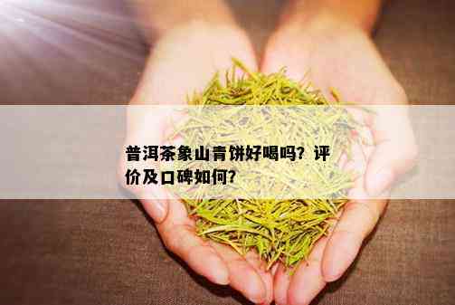 普洱茶象山青饼好喝吗？评价及口碑如何？