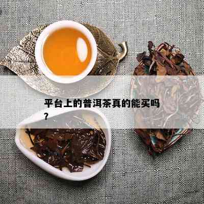 平台上的普洱茶真的能买吗？