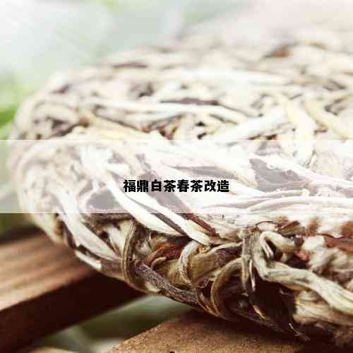 福鼎白茶春茶改造