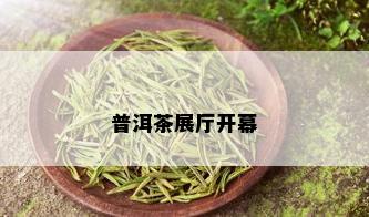 普洱茶展厅开幕