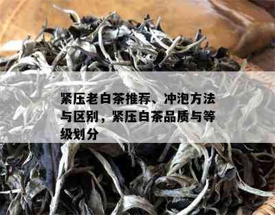 紧压老白茶推荐、冲泡方法与区别，紧压白茶品质与等级划分