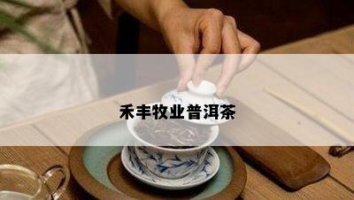 禾丰牧业普洱茶