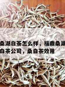 桑湖白茶怎么样，福鼎桑湖白茶公司，桑白茶效用