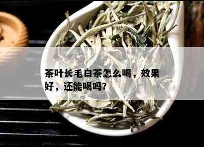 茶叶长毛白茶怎么喝，效果好，还能喝吗？