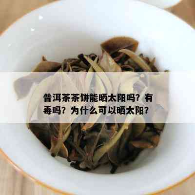 普洱茶茶饼能晒太阳吗？有吗？为什么可以晒太阳？