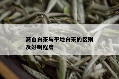 高山白茶与平地白茶的区别及好喝程度