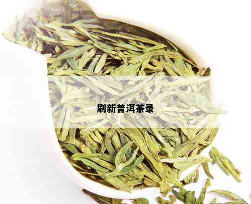 刷新普洱茶录