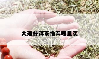 大理普洱茶推荐哪里买