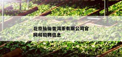 北京仙仙普洱茶有限公司官网和招聘信息