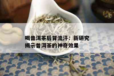 喝普洱茶后背流汗：新研究揭示普洱茶的神奇效果