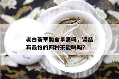 老白茶草酸含量高吗，肾结石最怕的四种茶能喝吗？