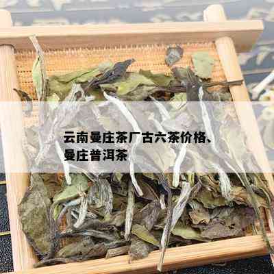 云南曼庄茶厂古六茶价格、曼庄普洱茶