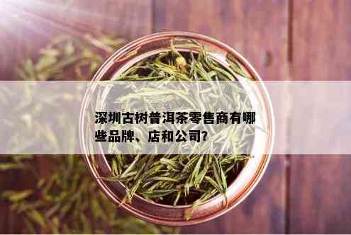 深圳古树普洱茶零售商有哪些品牌、店和公司？