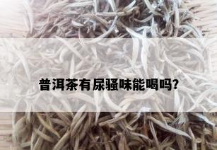 普洱茶有尿骚味能喝吗？