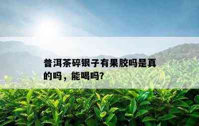 普洱茶碎银子有果胶吗是真的吗，能喝吗？