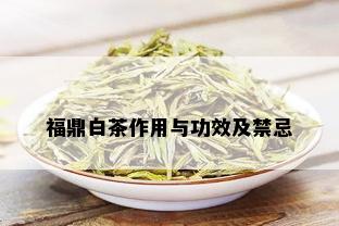 福鼎白茶作用与功效及禁忌