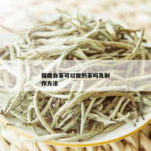 福鼎白茶可以做奶茶吗及制作方法