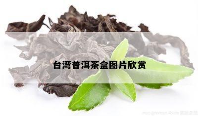 台湾普洱茶盒图片欣赏