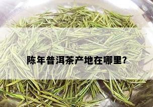 陈年普洱茶产地在哪里？